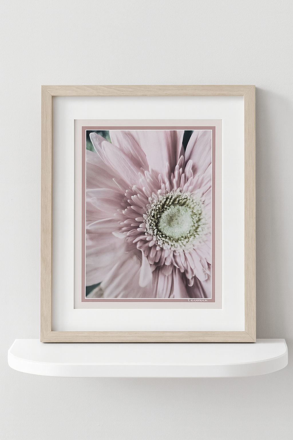 Powder Pink Petals
