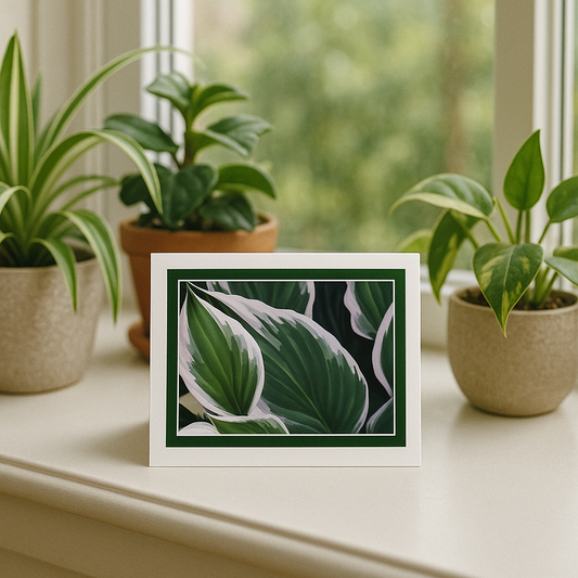 Green Embrace