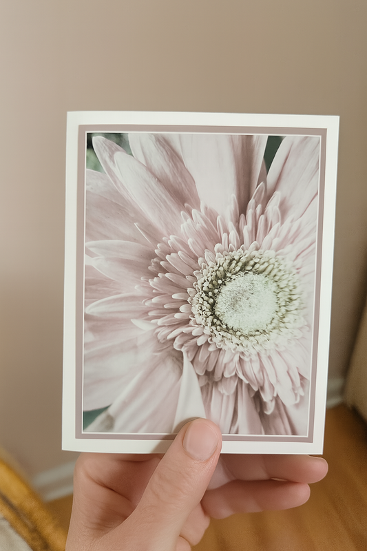 Powder Pink Petals