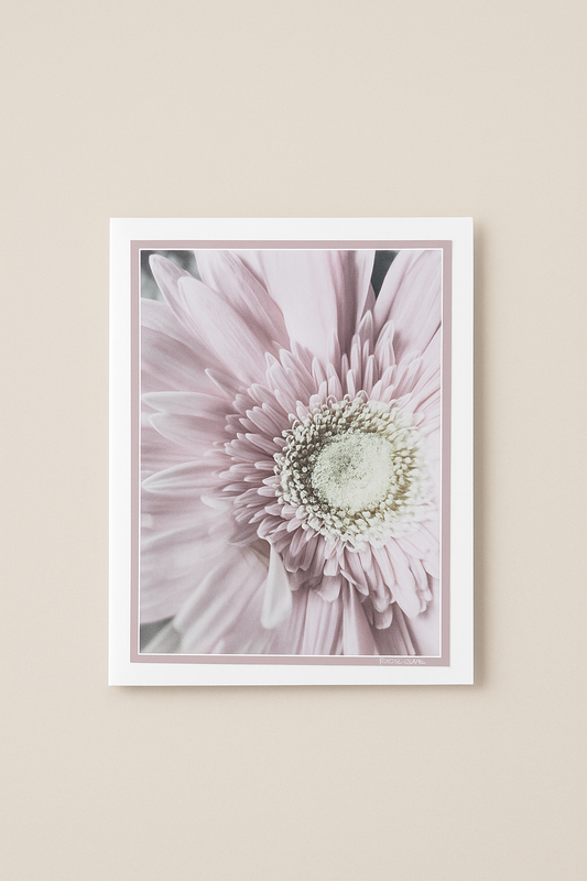 Powder Pink Petals