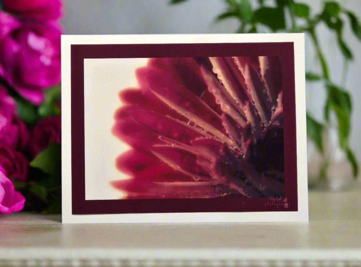 Magenta Radiance
