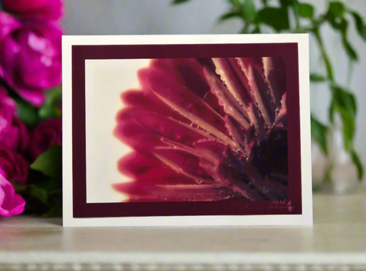 Magenta Radiance