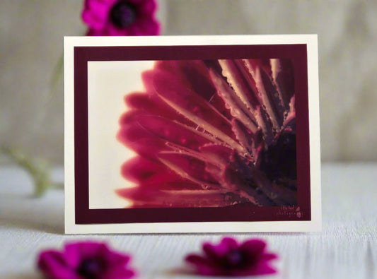 Magenta Radiance