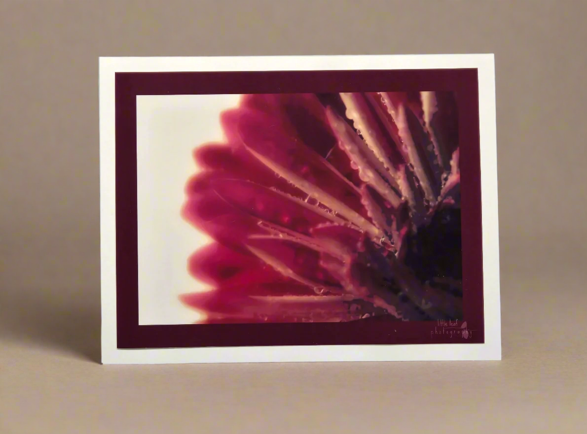 Magenta Radiance
