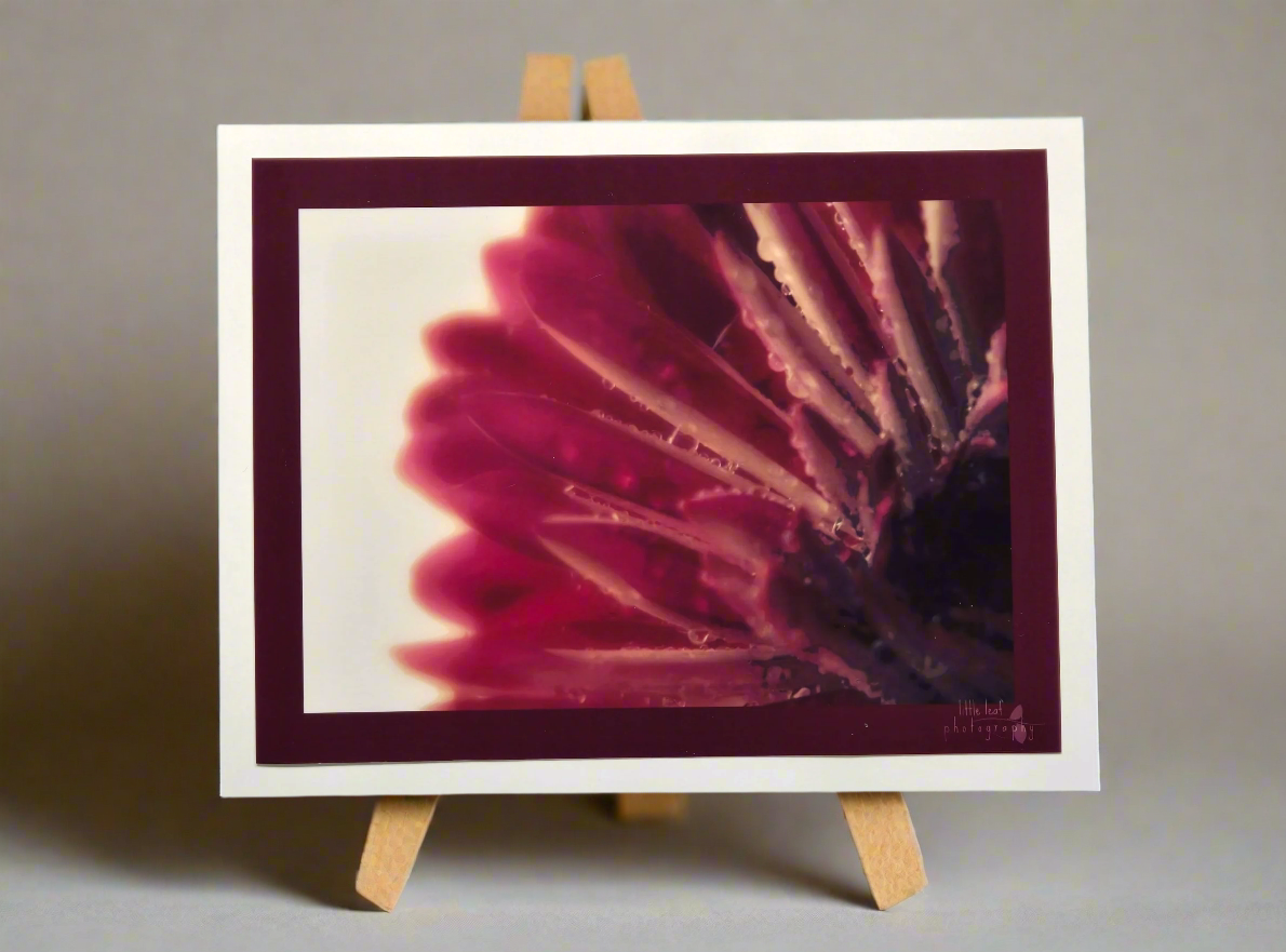 Magenta Radiance
